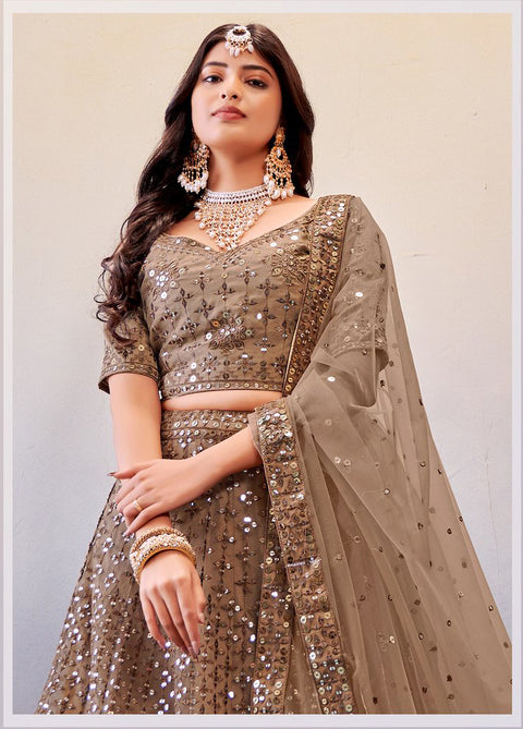 Light Brown Festive Wear Sequins Work Net Lehenga Choli