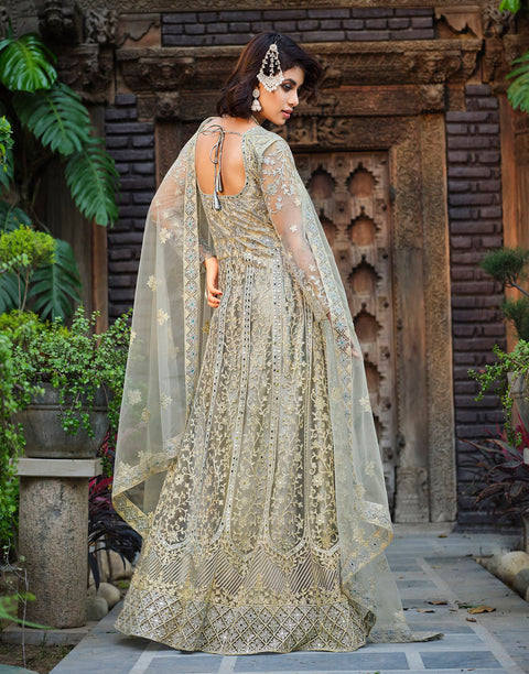 Grey Party Wear Embroidered Net Suit