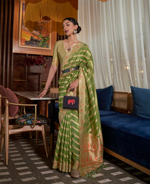 Green Two tone meenakari handloom weaving organza Saree