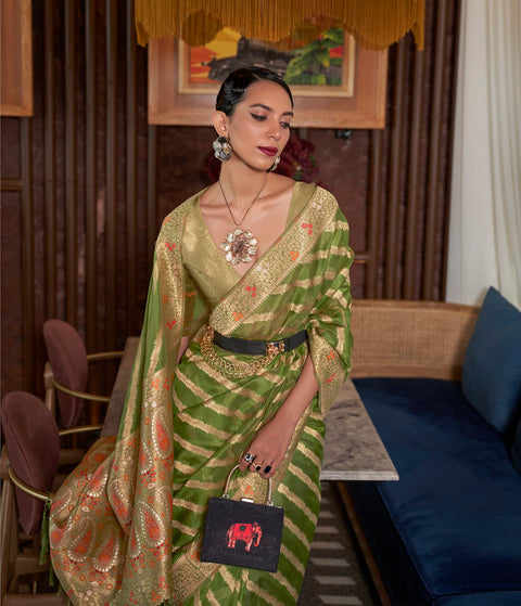 Green Two tone meenakari handloom weaving organza Saree